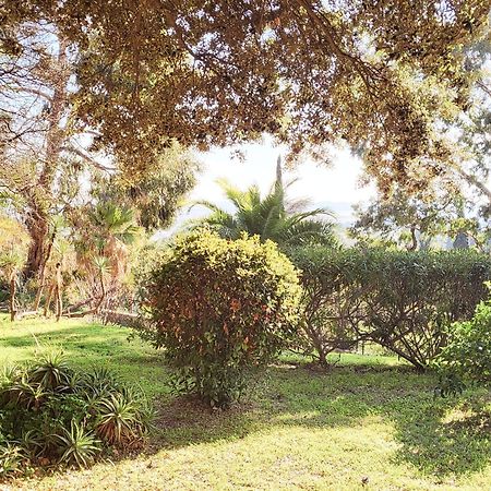 La Suite Costabella A Hyeres-Les-Palmiers Eksteriør billede